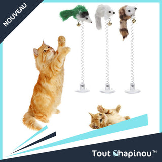 BoingBoing | Jouet à Ressort