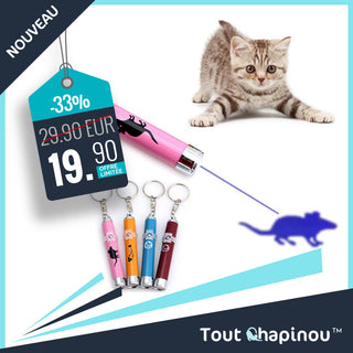 Pointeur Laser Tout Chapinou